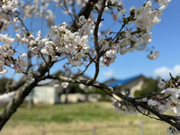 �����åդ�����